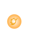 Bird Icon